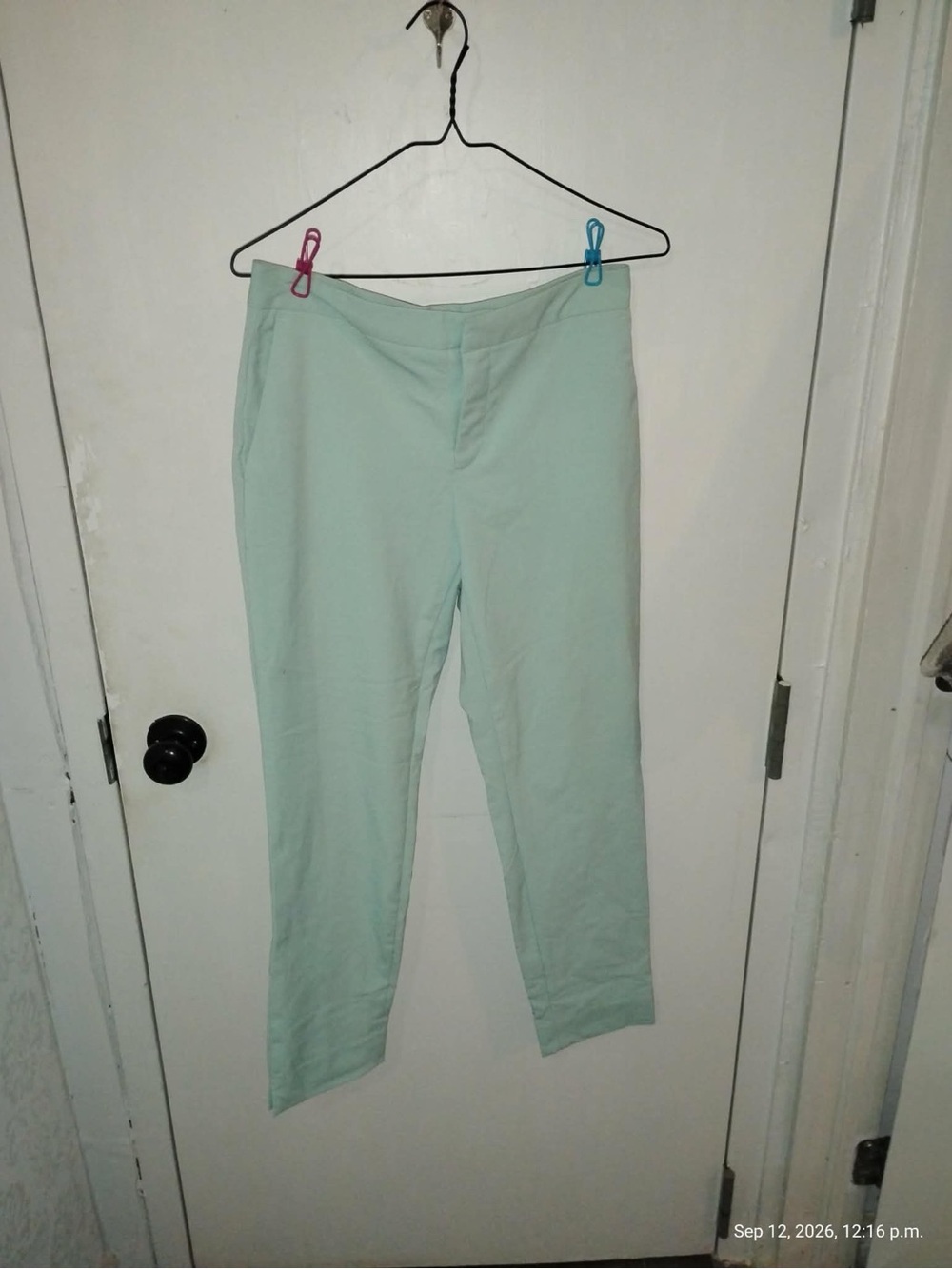Zara Mint Green Cropped Tailored Pants
